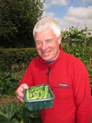 John Wilkin with peas in his garden in Coventry.