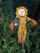 Scarecrow in David Wilkin's vegetable garden.