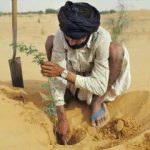 A man planting trees in a desert environment.